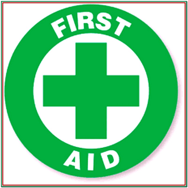 Anni And Mija ~ First Aid